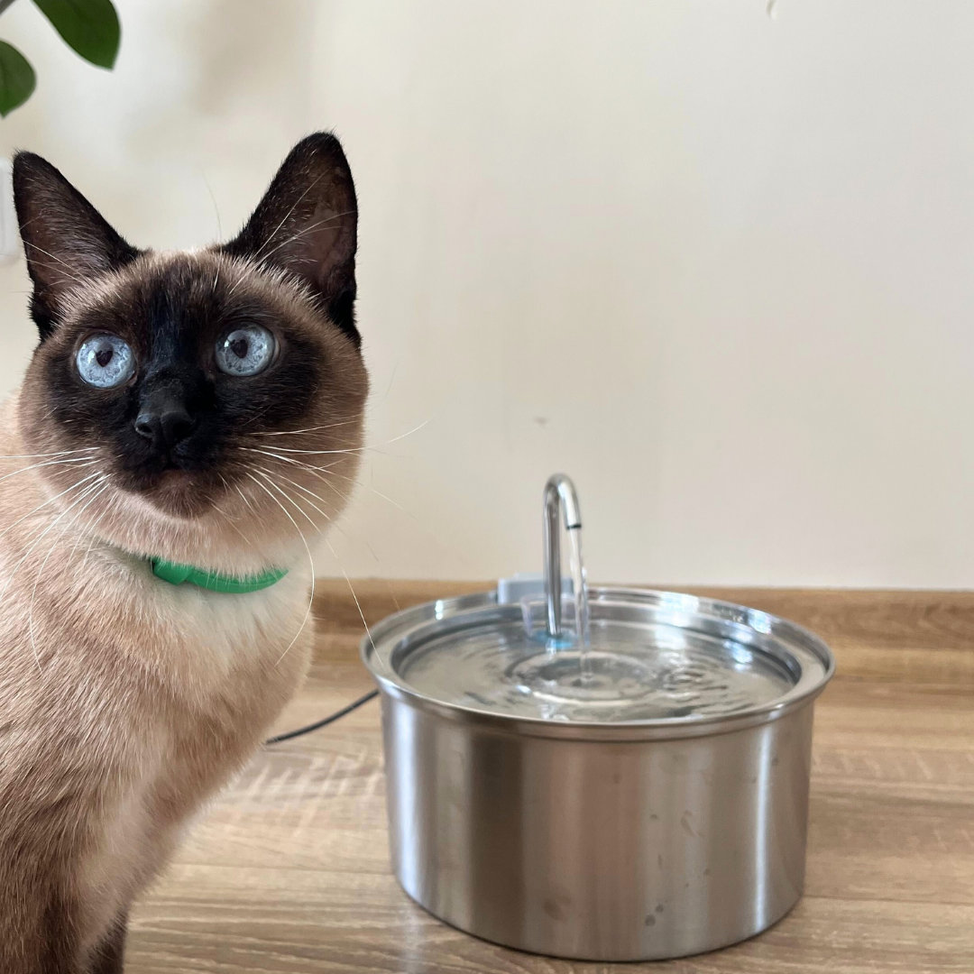 CatStream™  | Fontaine à eau pour chat